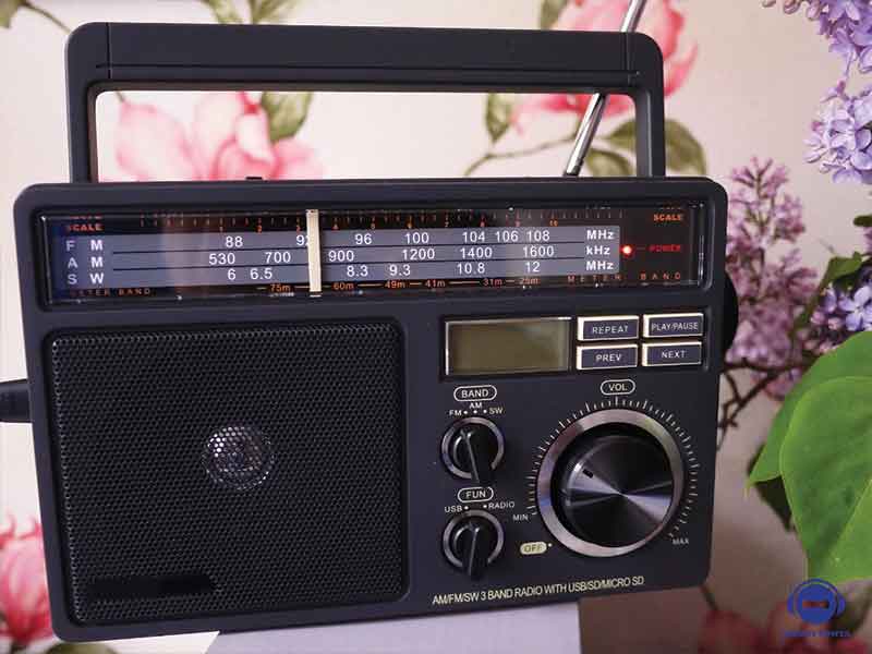 You can take Fm radios into the sauna if needed